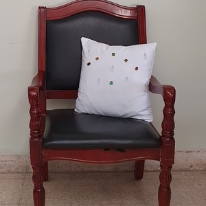 Throw Pillow Cover